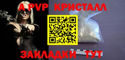 стафф Шелехов