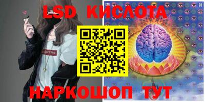 стафф Шелехов