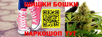 стафф Шелехов
