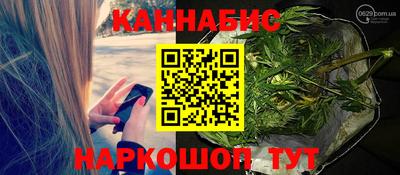 стафф Шелехов