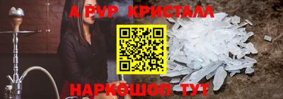 стафф Шелехов