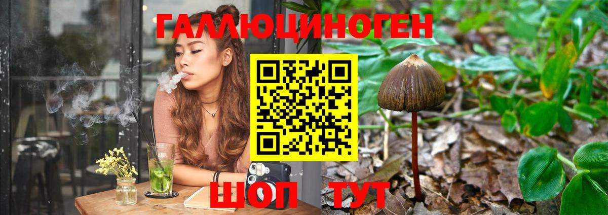 Партизанск  Галлюциногенные грибы мухоморы  Вход с VPN  Галлюциногенные грибы прущие грибы 