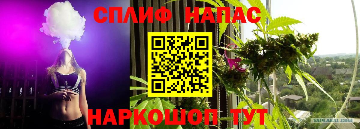 Бошки Шишки тримм Партизанск